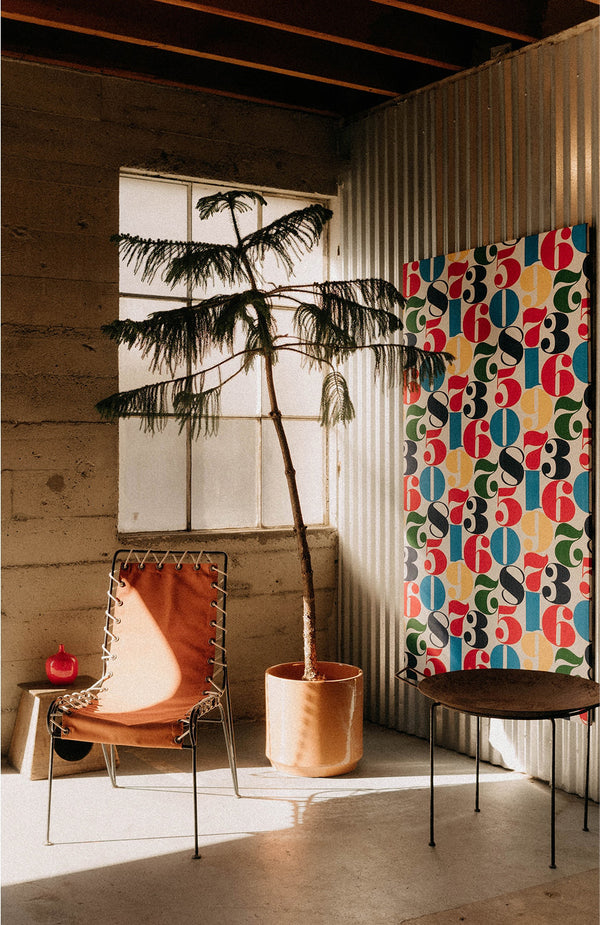 A large potted plant next to a mid-century chair and table