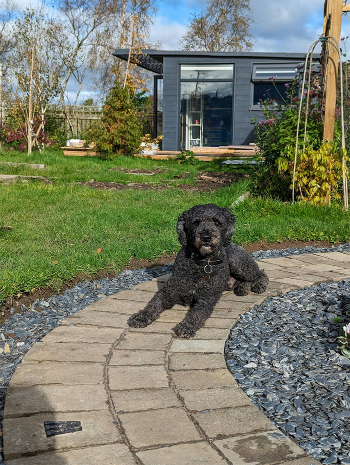 Nicholas' dog and office