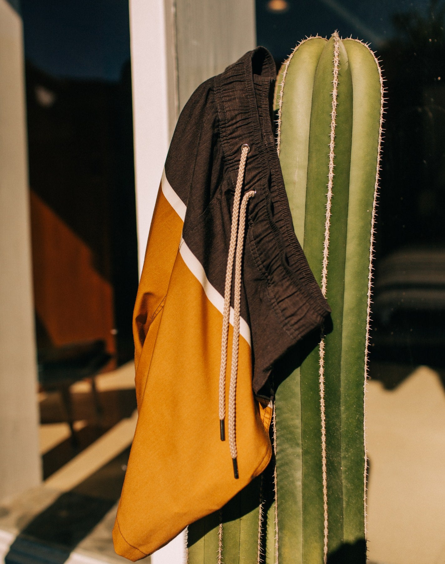 The Bayberry Trunk in Sandbar