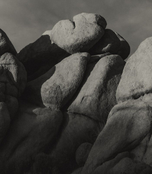 Black and white image of boulders in Joshua Tree