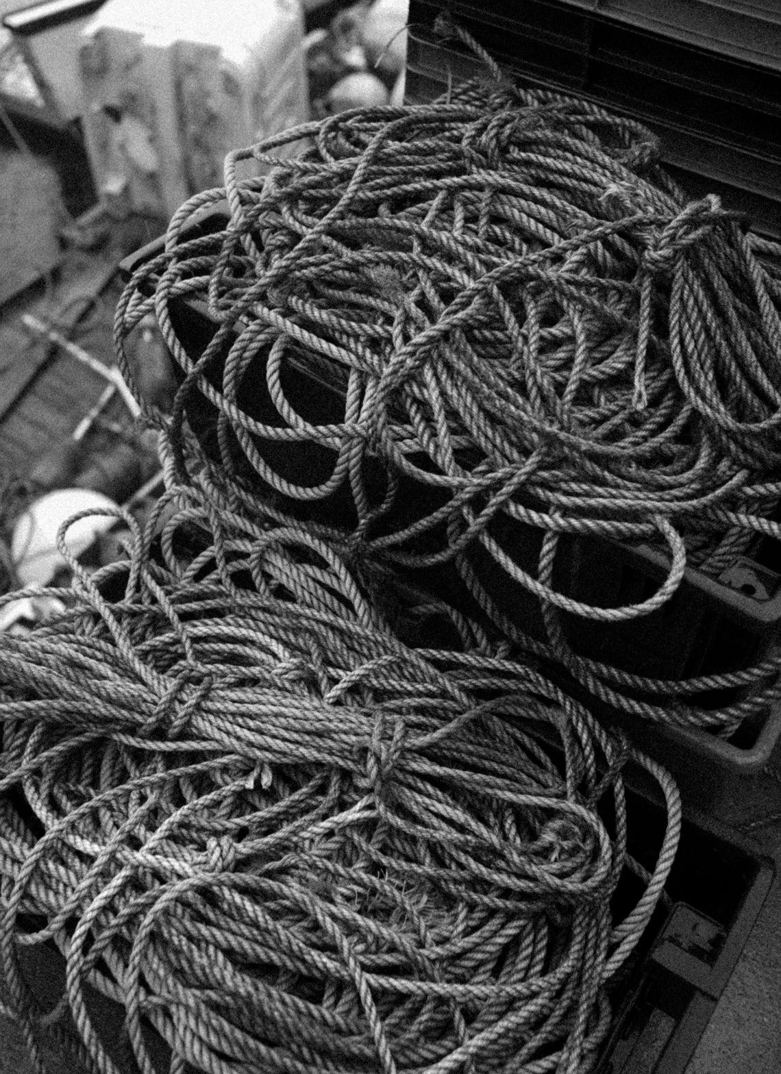 Lines of rope on a dock